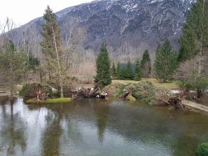 Ukanc (avtor fotografije Jure Sodja)